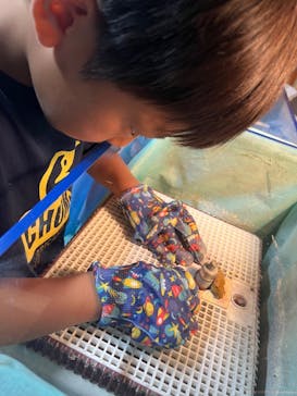 ギャラリー風空間に投稿された画像（2024/9/3）