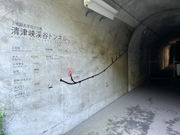 清津峡渓谷トンネルに投稿された画像（2024/9/3）