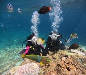 沖縄マリンサービス碧に投稿された画像（2024/9/4）