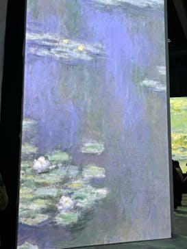 モネ＆フレンズ・アライブに投稿された画像（2024/9/4）