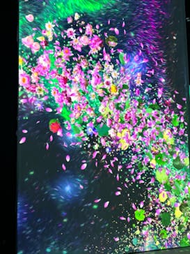 モネ＆フレンズ・アライブに投稿された画像（2024/9/4）