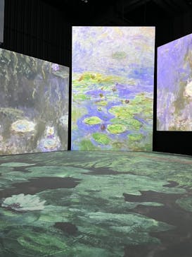 モネ＆フレンズ・アライブに投稿された画像（2024/9/4）