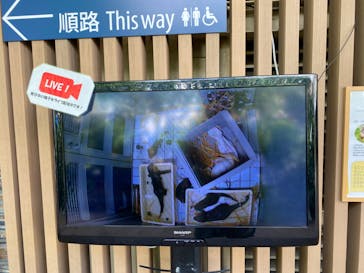 サンシャイン水族館に投稿された画像（2024/9/4）