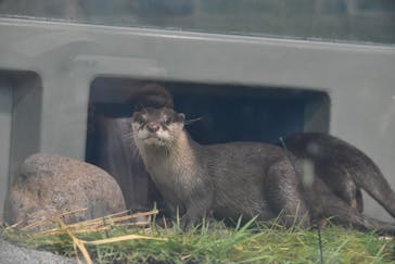 サンシャイン水族館に投稿された画像（2024/9/4）