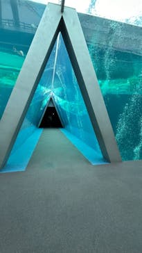 環境水族館アクアマリンふくしまに投稿された画像（2024/9/4）