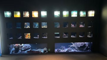 環境水族館アクアマリンふくしまに投稿された画像（2024/9/4）