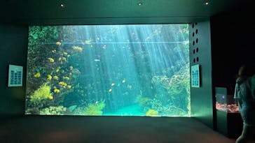環境水族館アクアマリンふくしまに投稿された画像（2024/9/4）