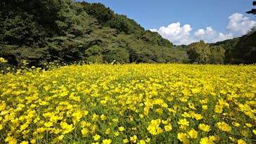 はままつフラワーパークに投稿された画像（2024/9/4）