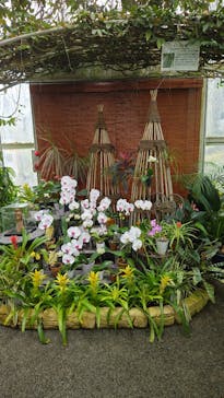 はままつフラワーパークに投稿された画像（2024/9/4）