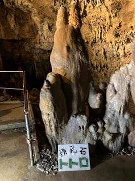 石垣島鍾乳洞に投稿された画像（2024/9/4）