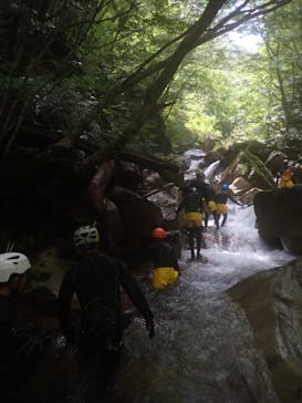 自然派企画に投稿された画像（2024/9/4）