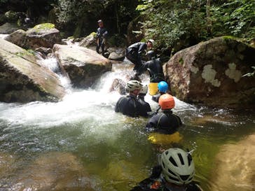 自然派企画に投稿された画像（2024/9/4）