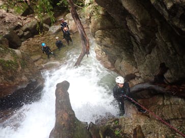 自然派企画に投稿された画像（2024/9/4）