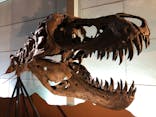 巨大恐竜展2024に投稿された画像（2024/9/4）