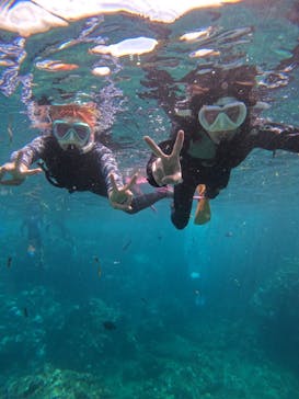 沖縄マリンサービス碧に投稿された画像（2024/9/4）