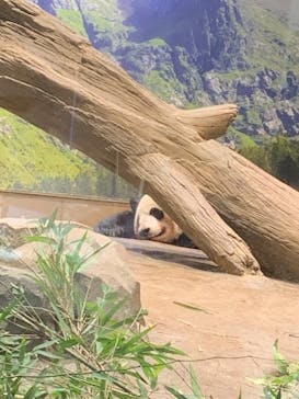 恩賜上野動物園に投稿された画像（2024/9/4）