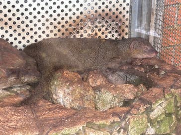 おきなわワールドに投稿された画像（2024/9/4）