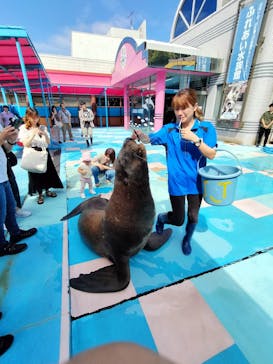 ゼロ距離水族館 伊勢シーパラダイスに投稿された画像（2024/9/4）