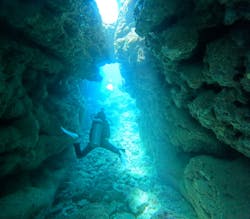 Ocean Gate（オーシャンゲート）に投稿された画像（2024/9/4）