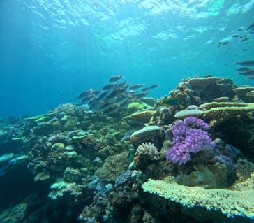 Ocean Gate（オーシャンゲート）に投稿された画像（2024/9/4）