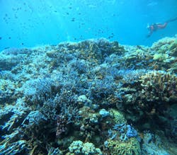 Ocean Gate（オーシャンゲート）に投稿された画像（2024/9/4）