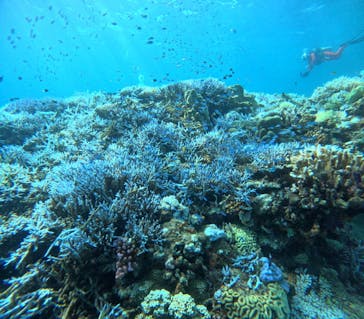 Ocean Gate（オーシャンゲート）に投稿された画像（2024/9/4）