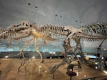 福井県立恐竜博物館に投稿された画像（2024/9/4）