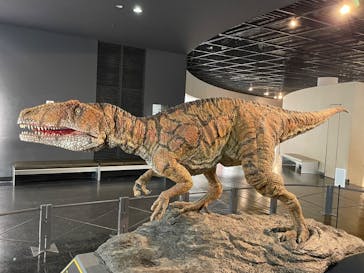 福井県立恐竜博物館に投稿された画像（2024/9/4）