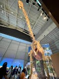 巨大恐竜展2024に投稿された画像（2024/9/4）
