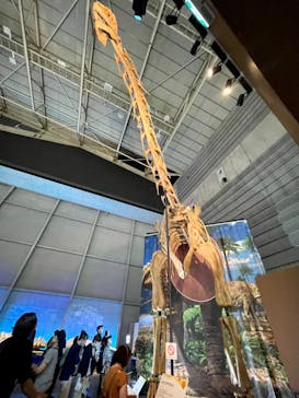 巨大恐竜展2024に投稿された画像（2024/9/4）
