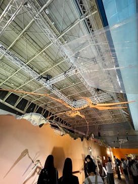 巨大恐竜展2024に投稿された画像（2024/9/4）
