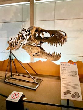 巨大恐竜展2024に投稿された画像（2024/9/4）