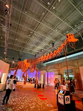 巨大恐竜展2024に投稿された画像（2024/9/4）