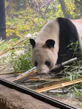 恩賜上野動物園に投稿された画像（2024/9/4）