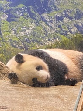 恩賜上野動物園に投稿された画像（2024/9/4）