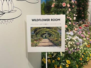 モネ＆フレンズ・アライブに投稿された画像（2024/9/4）