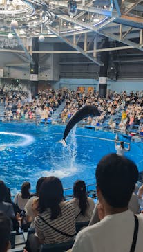 マクセル アクアパーク品川に投稿された画像（2024/9/4）