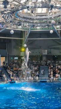 マクセル アクアパーク品川に投稿された画像（2024/9/4）