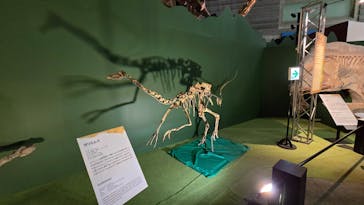 巨大恐竜展2024に投稿された画像（2024/9/4）