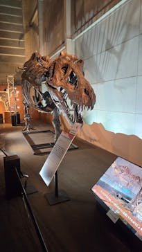 巨大恐竜展2024に投稿された画像（2024/9/4）