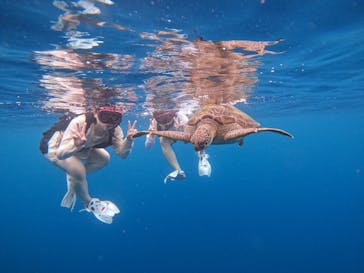 マーレ石垣島に投稿された画像（2024/9/4）