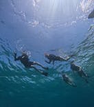 西表島 ADVENTURE PiPi（アドベンチャーピピ）に投稿された画像（2024/9/4）