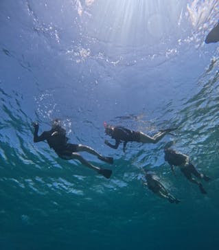 西表島 ADVENTURE PiPi（アドベンチャーピピ）に投稿された画像（2024/9/4）