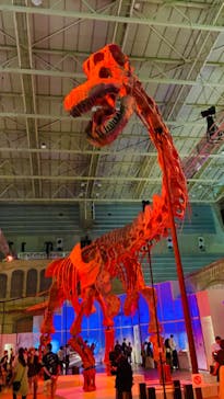 巨大恐竜展2024に投稿された画像（2024/9/4）