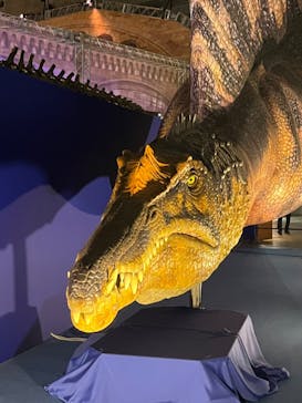 巨大恐竜展2024に投稿された画像（2024/9/4）