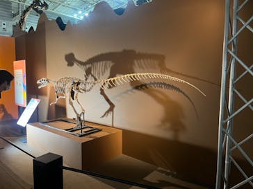 巨大恐竜展2024に投稿された画像（2024/9/4）