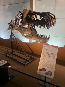 巨大恐竜展2024に投稿された画像（2024/9/4）