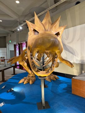 岐阜県博物館に投稿された画像（2024/9/4）