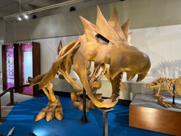 岐阜県博物館に投稿された画像（2024/9/4）