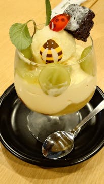 国立科学博物館に投稿された画像（2024/9/4）